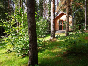 Cozy cabin in the forest near the lake Kertuoja, Inturkė